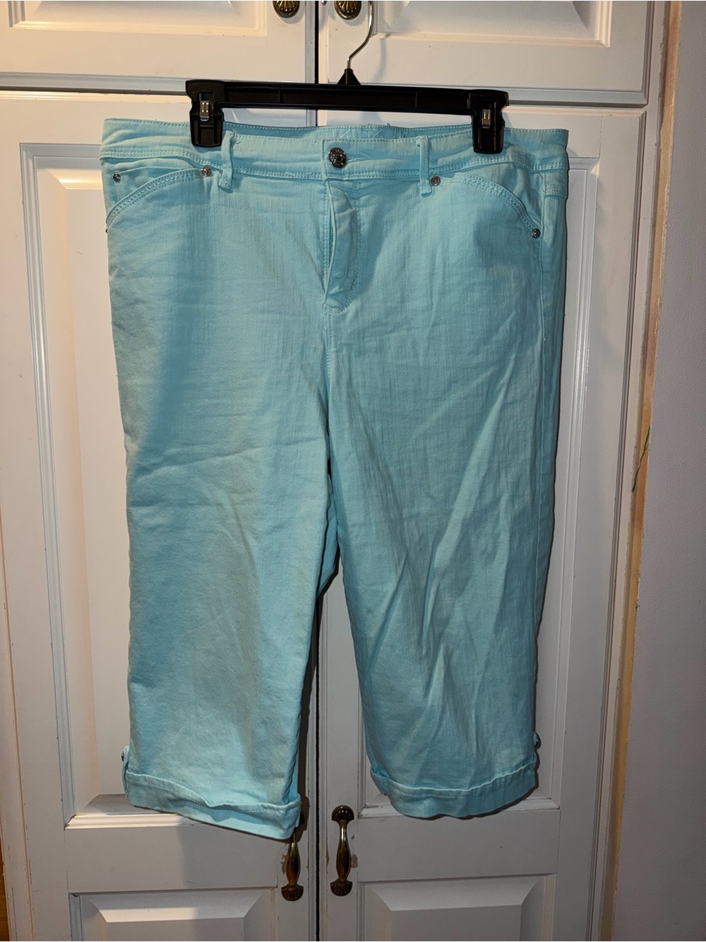 Gloria Vanderbilt Light Aqua Capri Pants Size 12